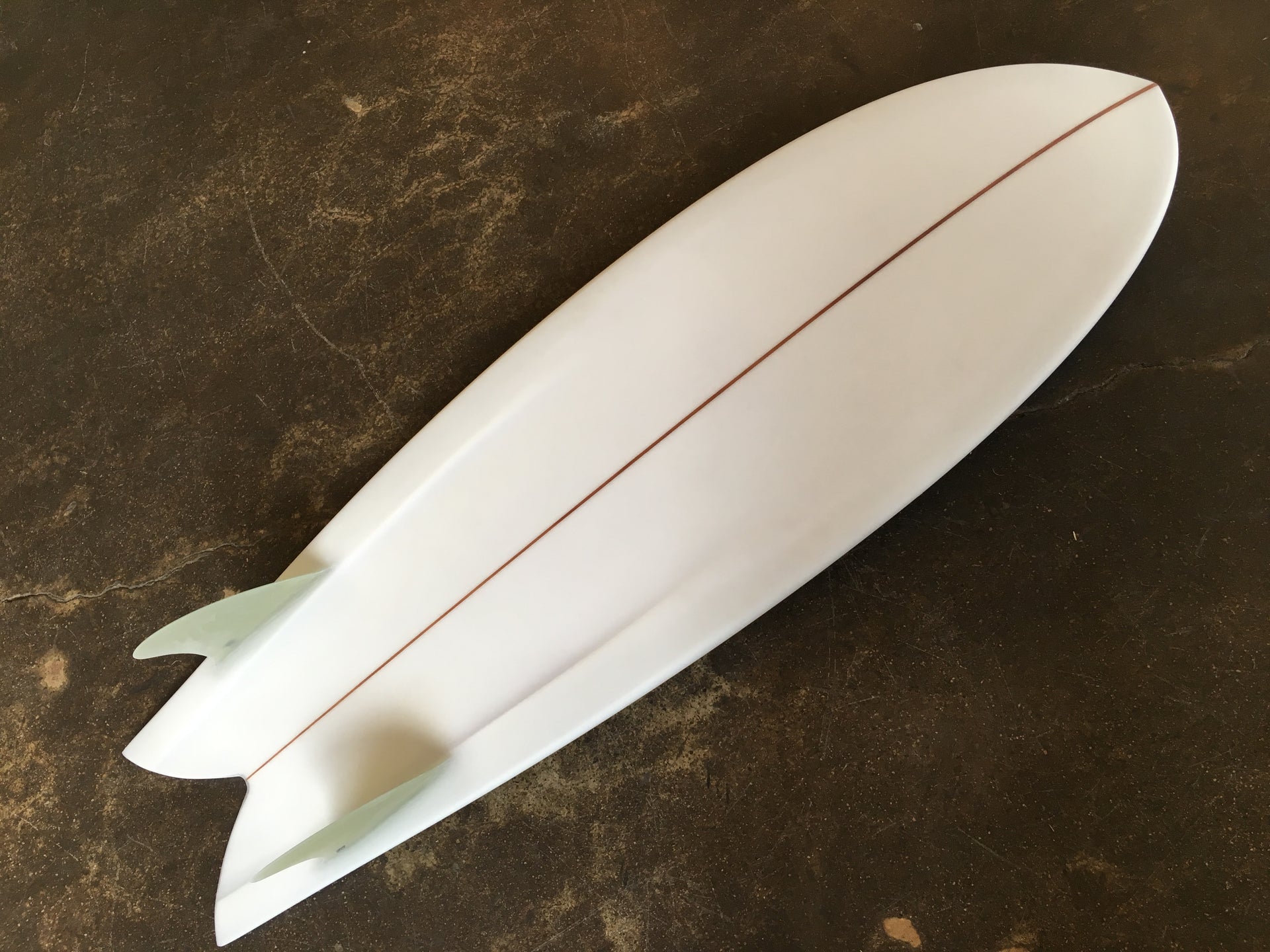 5'5" NC Shapes Grouper Fish