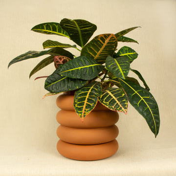 Areaware Stacking Planter