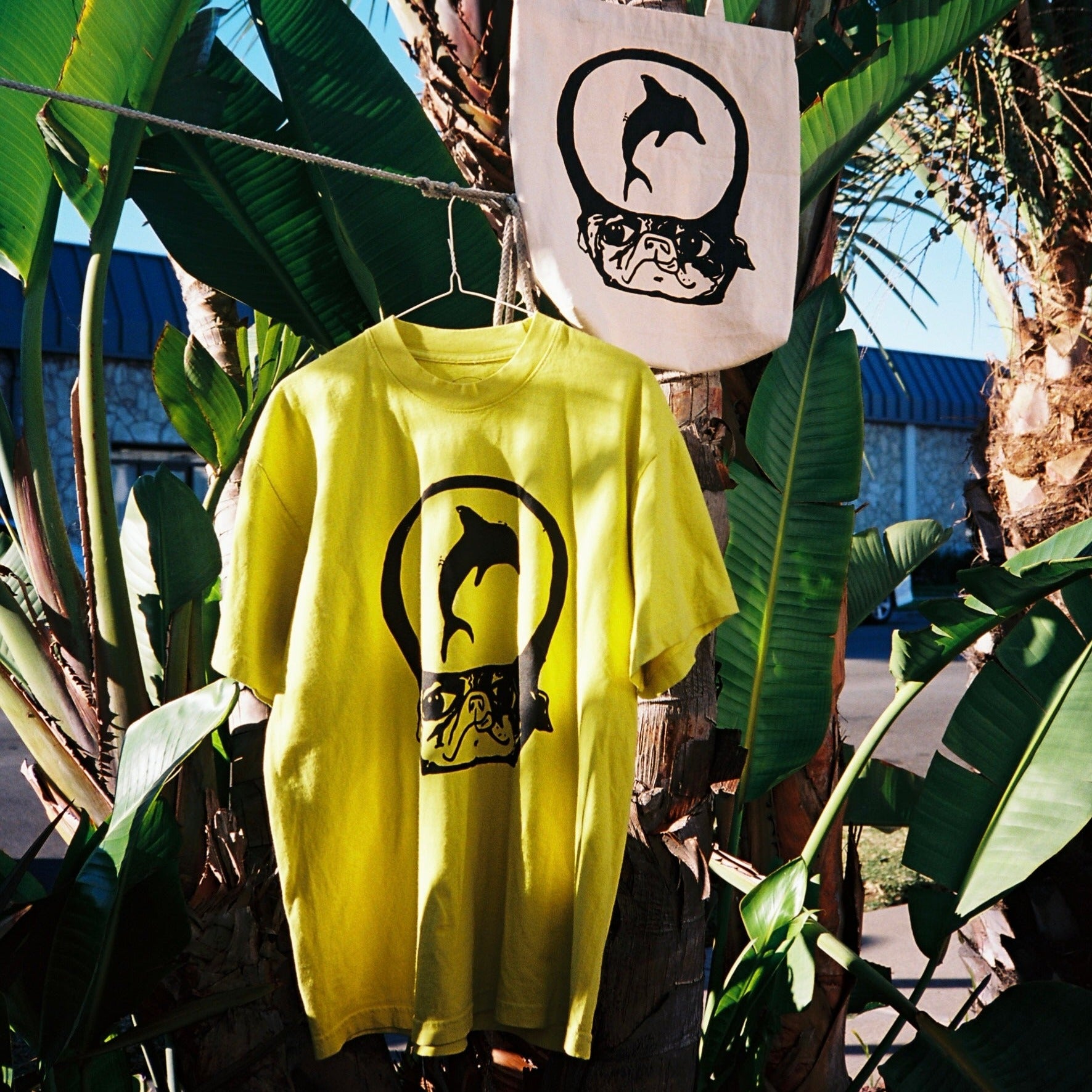 Daydream Apparel – Daydream Surf Shop